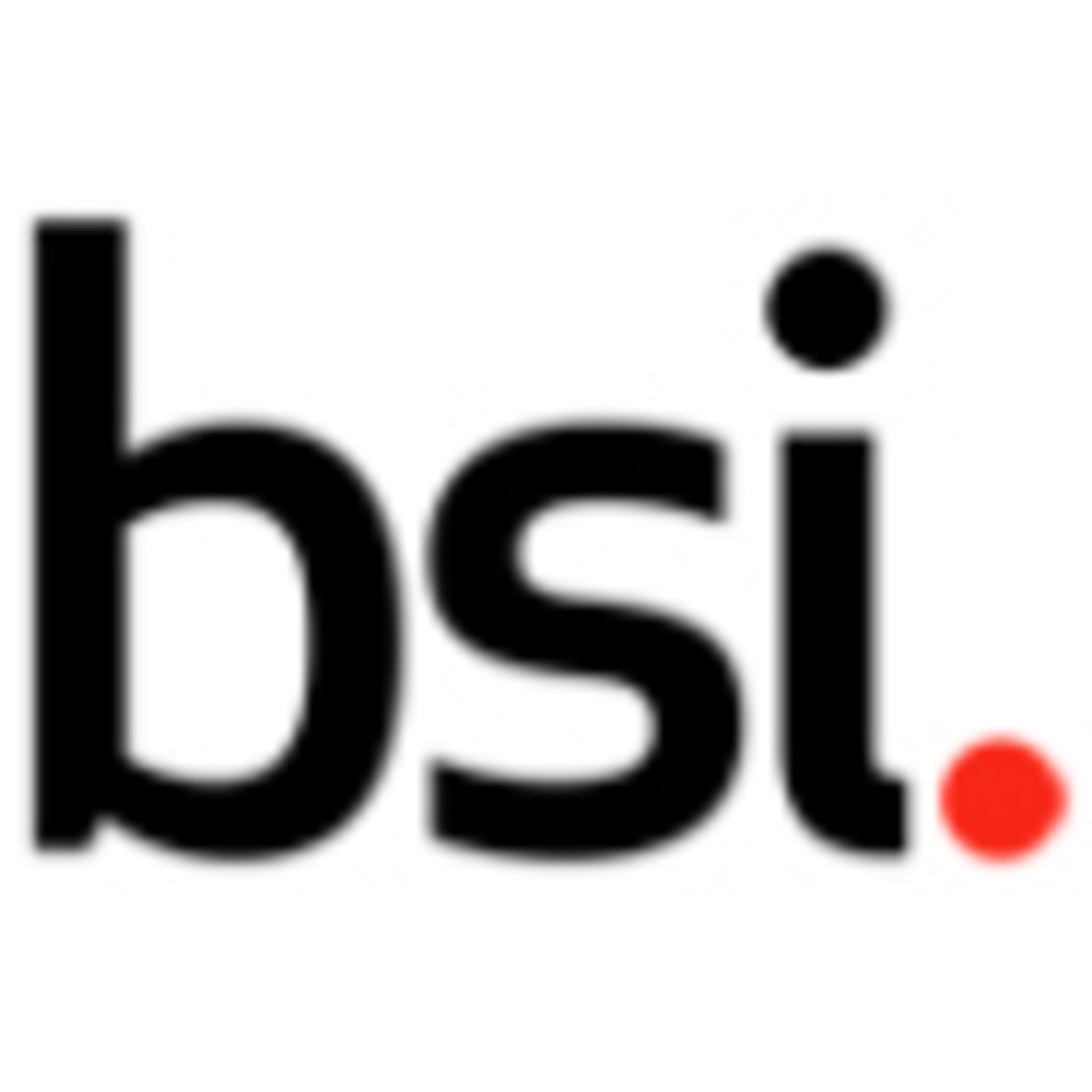 BSI Group America Inc. Logo
