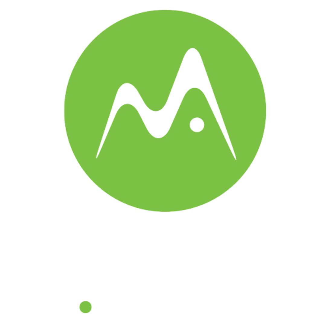 m.zoro Consulting Logo