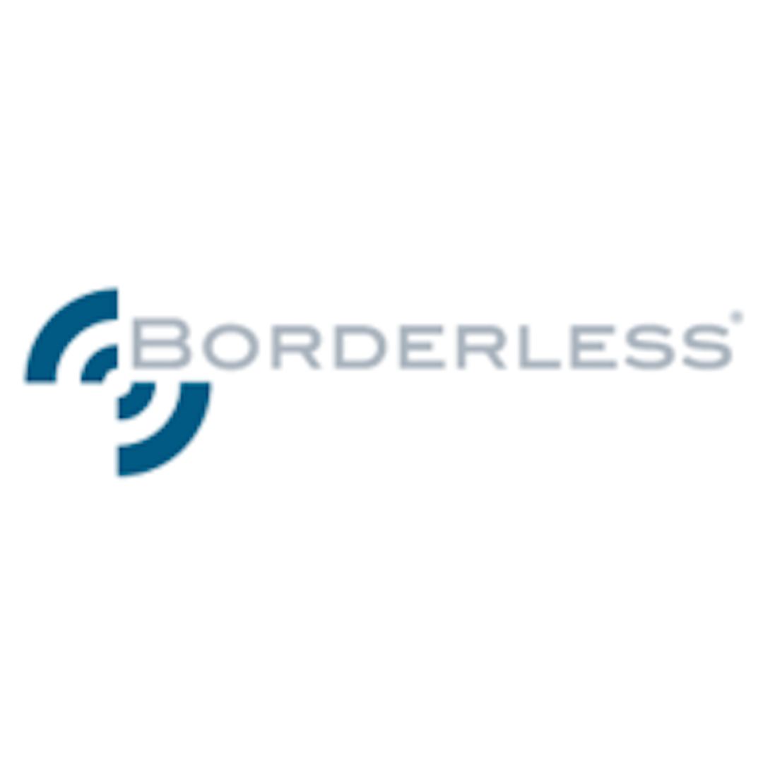 Borderless Executive Search and Leadership Consulting Logo