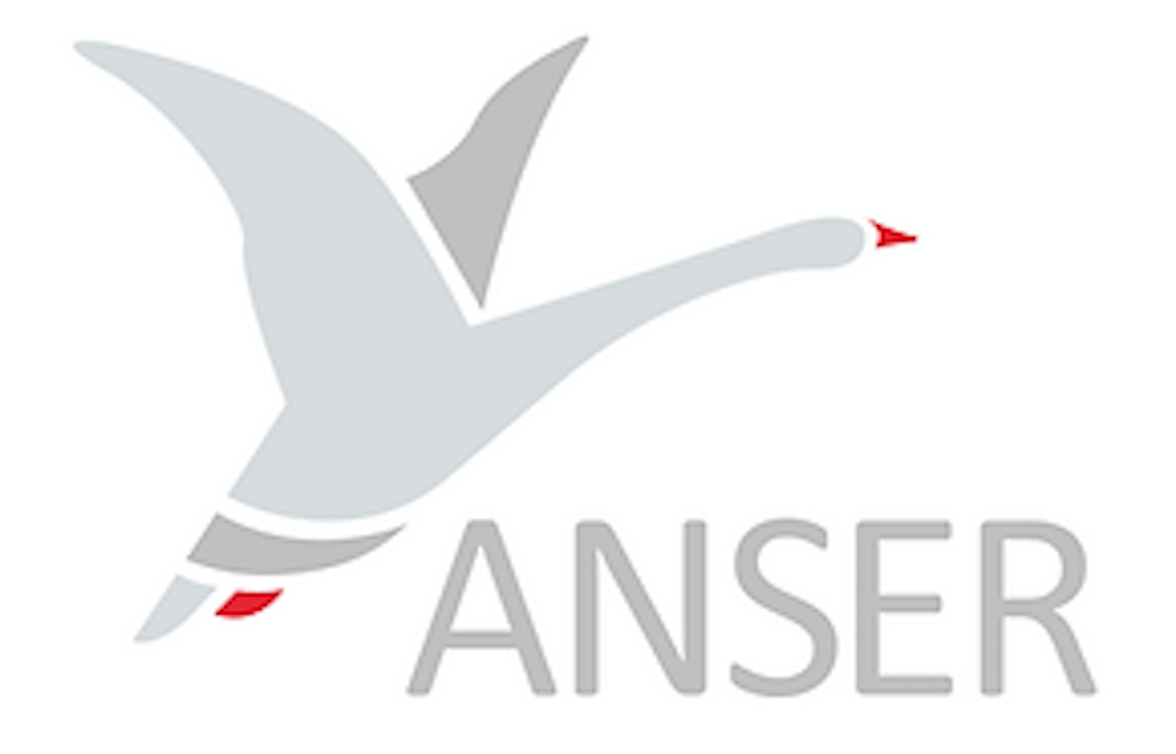 Anser Implants Logo