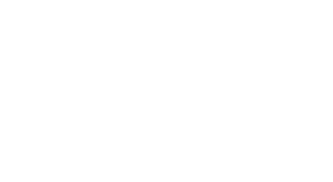 Vail Scientific Logo